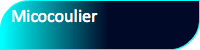 Micocoulier