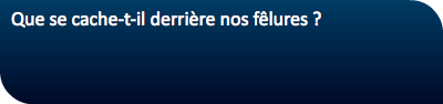 Que se cache-t-il derrière nos fêlures ? 