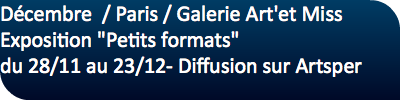 Décembre / Paris / Galerie Art'et Miss Exposition "Petits formats" du 28/11 au 23/12- Diffusion sur Artsper