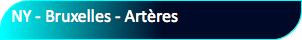 NY - Bruxelles - Artères