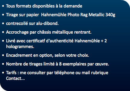 Tous formats disponibles à la demande Tirage sur papier Hahnemühle Photo Rag Metallic 340g contrecollé sur alu-dibond. Accrochage par châssis métallique rentrant. Livré avec certificatf d'authenticité Hahnemühle + 2 hologrammes. Encadrement en option, selon votre choix. Nombre de tirages limité à 8 exemplaires par œuvre. Tarifs : me consulter par téléphone ou mail rubrique Contact... 