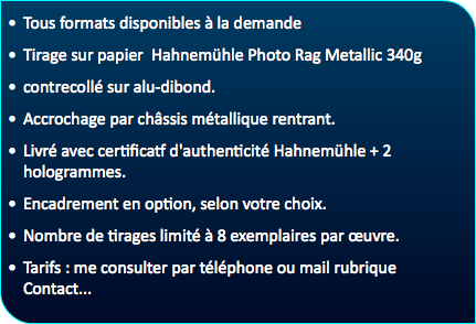 Tous formats disponibles à la demande Tirage sur papier Hahnemühle Photo Rag Metallic 340g contrecollé sur alu-dibond. Accrochage par châssis métallique rentrant. Livré avec certificatf d'authenticité Hahnemühle + 2 hologrammes. Encadrement en option, selon votre choix. Nombre de tirages limité à 8 exemplaires par œuvre. Tarifs : me consulter par téléphone ou mail rubrique Contact... 